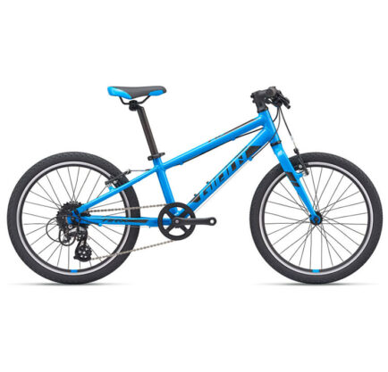 GIANT ARX 20