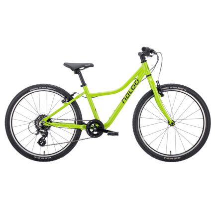 NALOO Chameleon 24